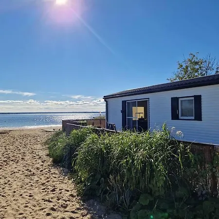 Glamping - Nowa Lokalizacja - Camp