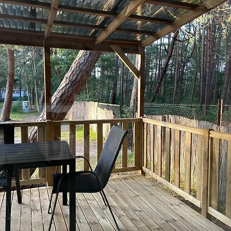 Glamping - Nowa Lokalizacja - Camp *