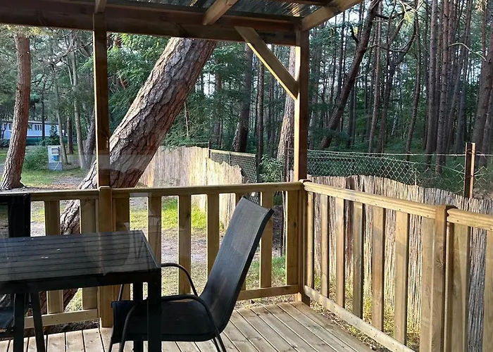 Glamping - Nowa Lokalizacja - Camp *